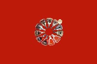 衢州市开化县回收红酒